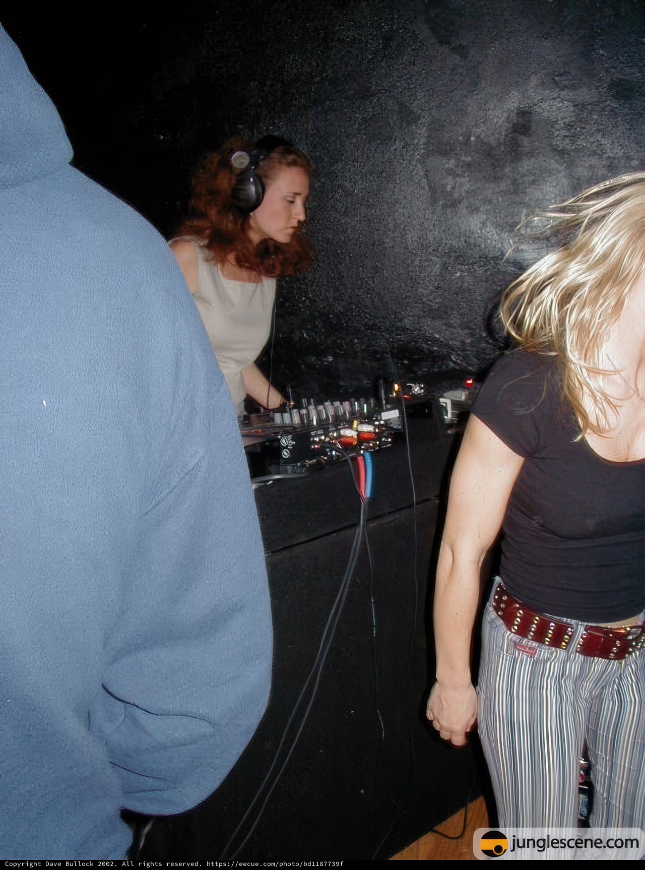 Groove into the Night