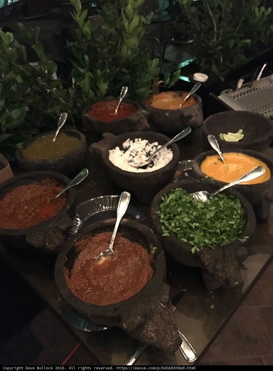 A Feast for the Senses