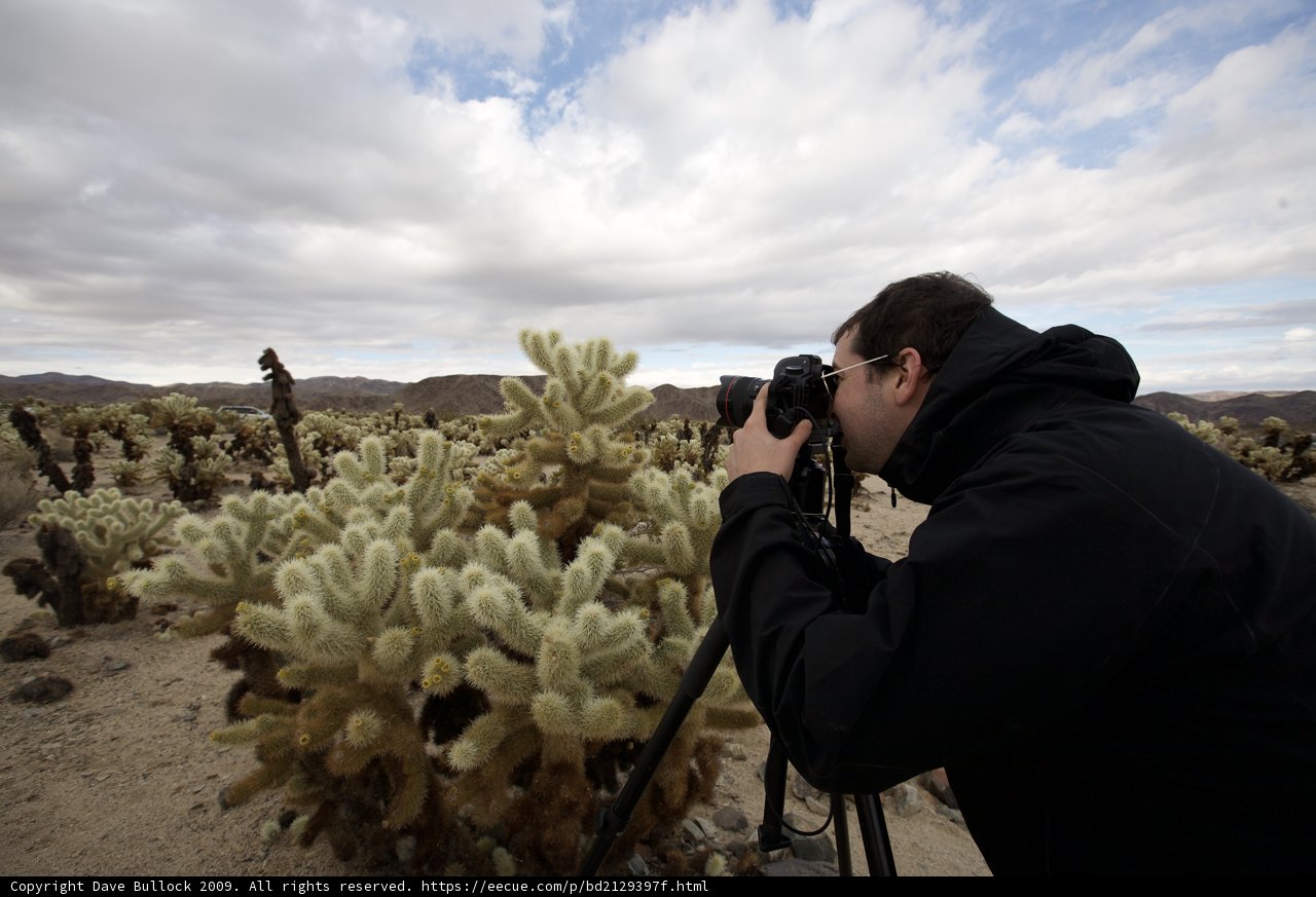 Cactus Catcher