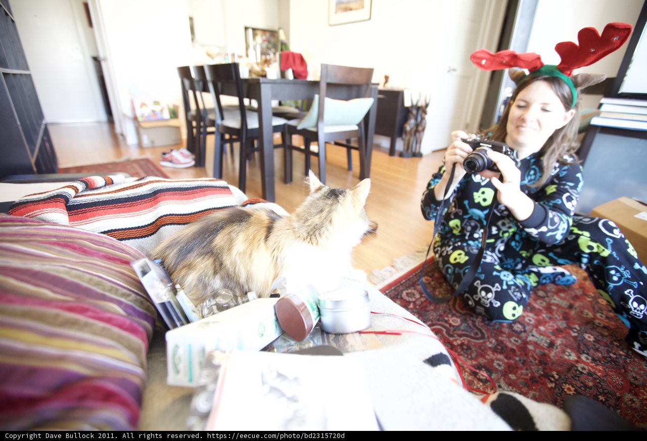 A Cozy Christmas Homelife
