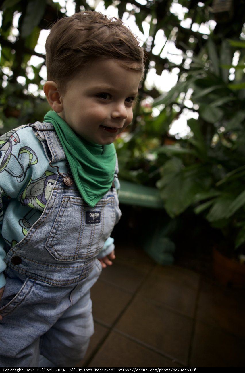 Budding Greenhouse Gardener