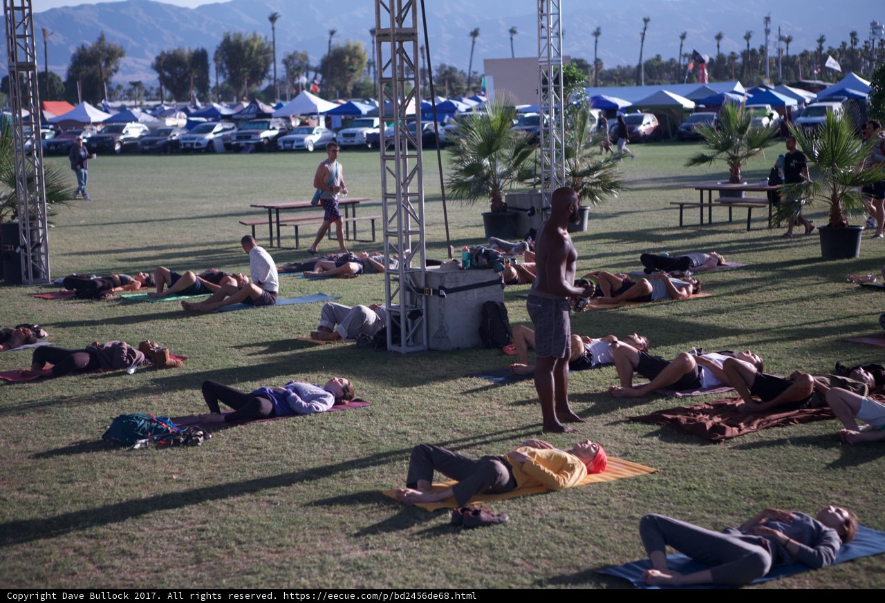 Yoga in the Grass