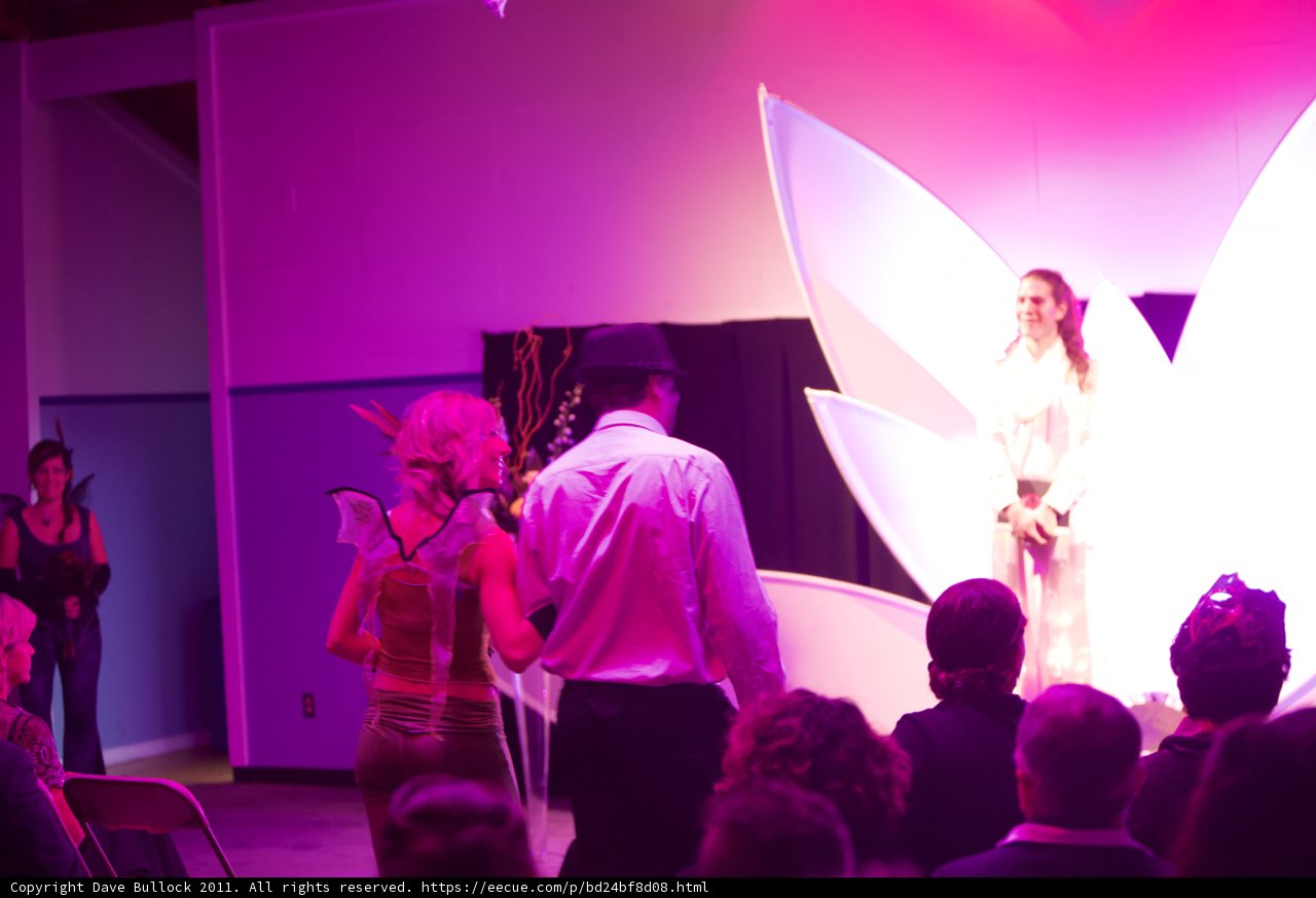 Stage Performance at the Wickstrom Wedding
