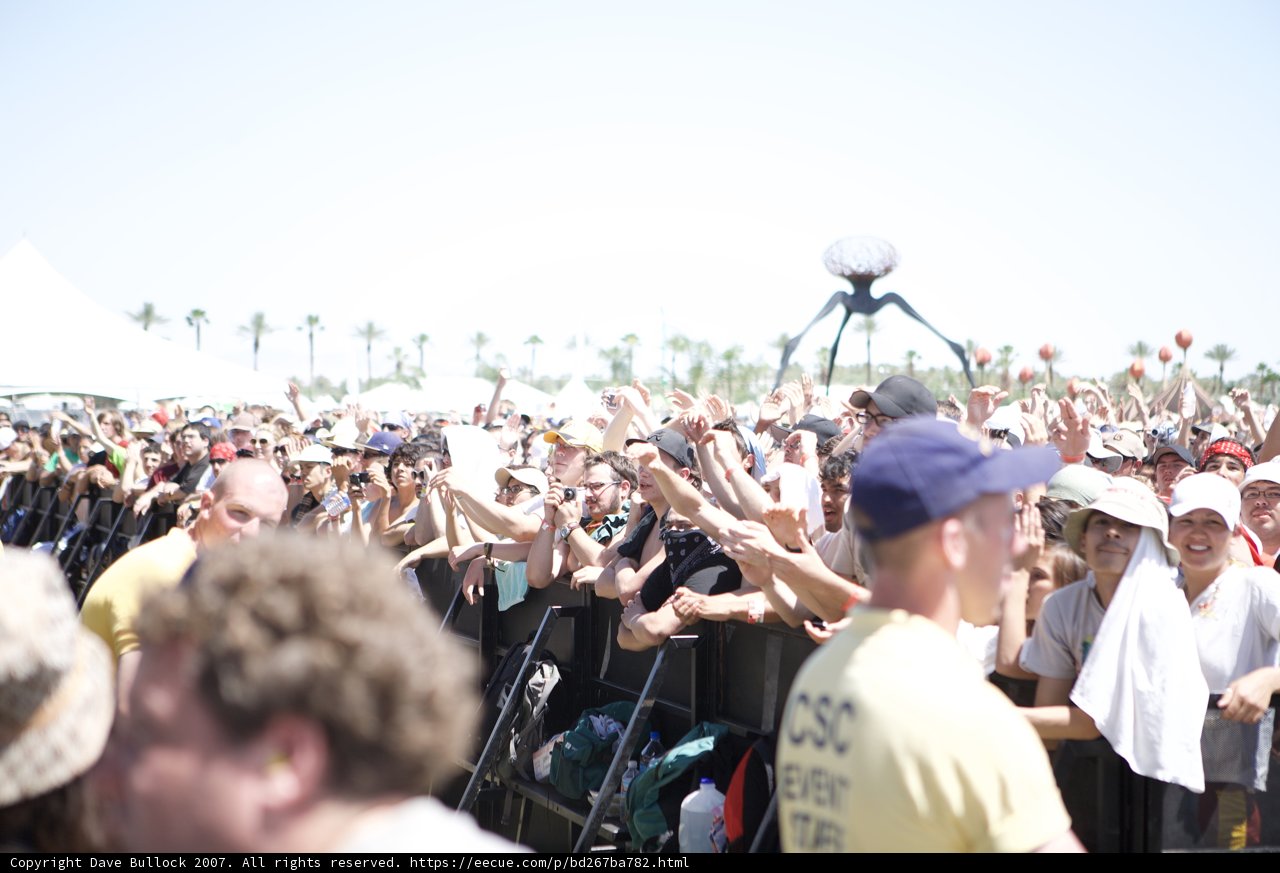 Coachella Concert Crowd
