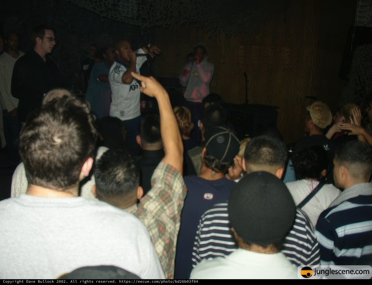 Mic in the Crowd