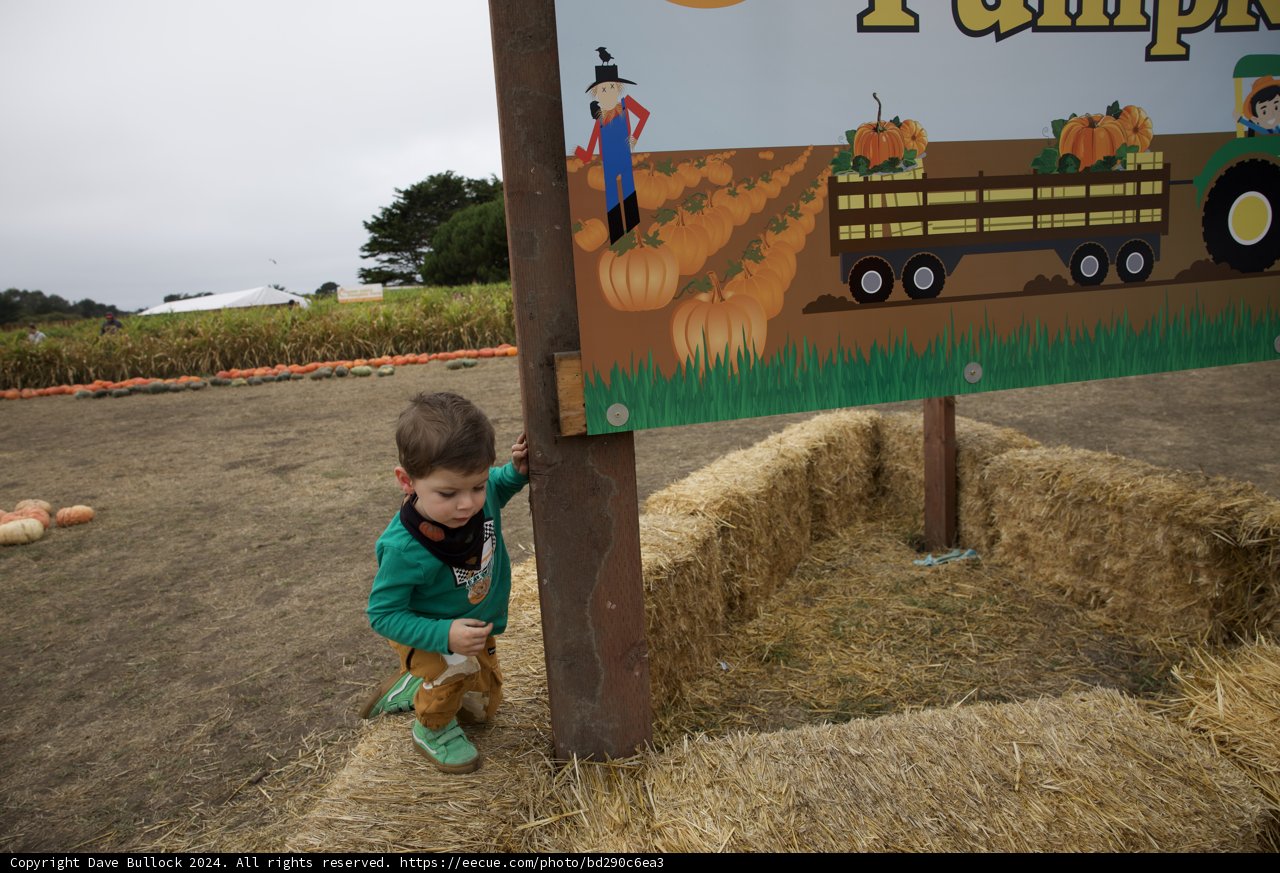 Autumn Adventures at Walnut Creek