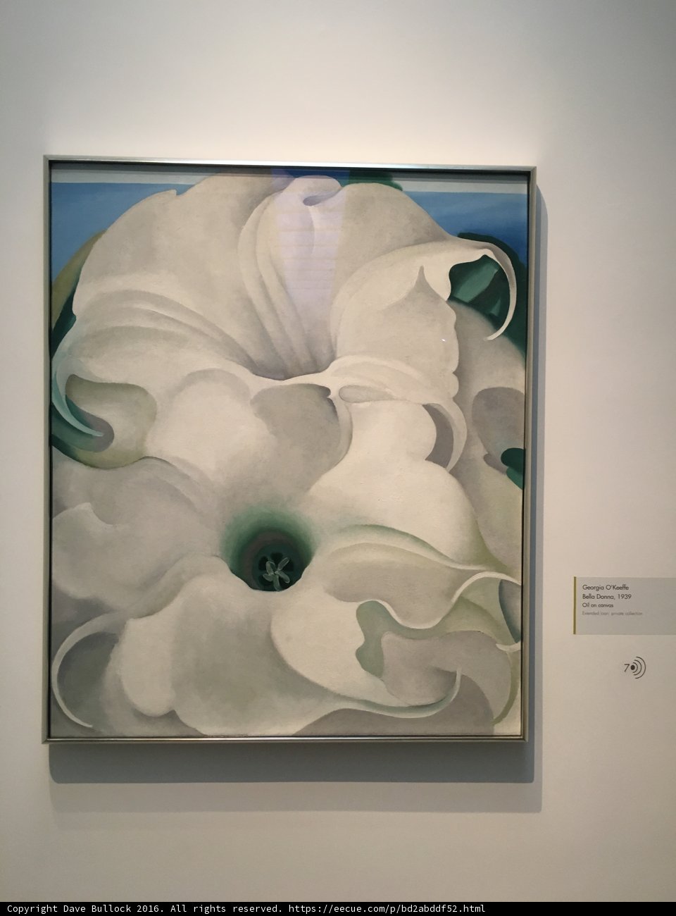 White Geranium in Modern Art