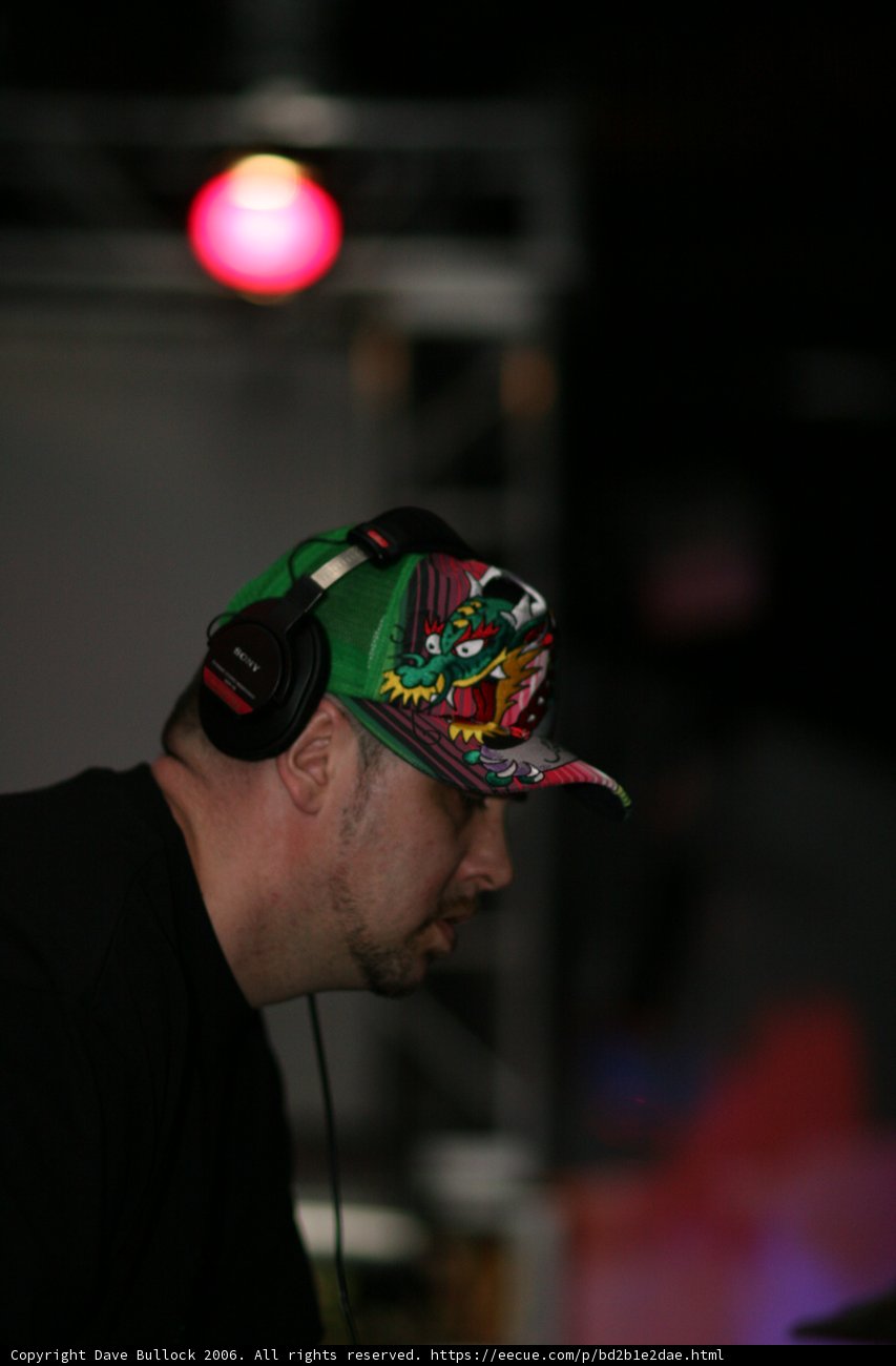Grooving with the Crowd