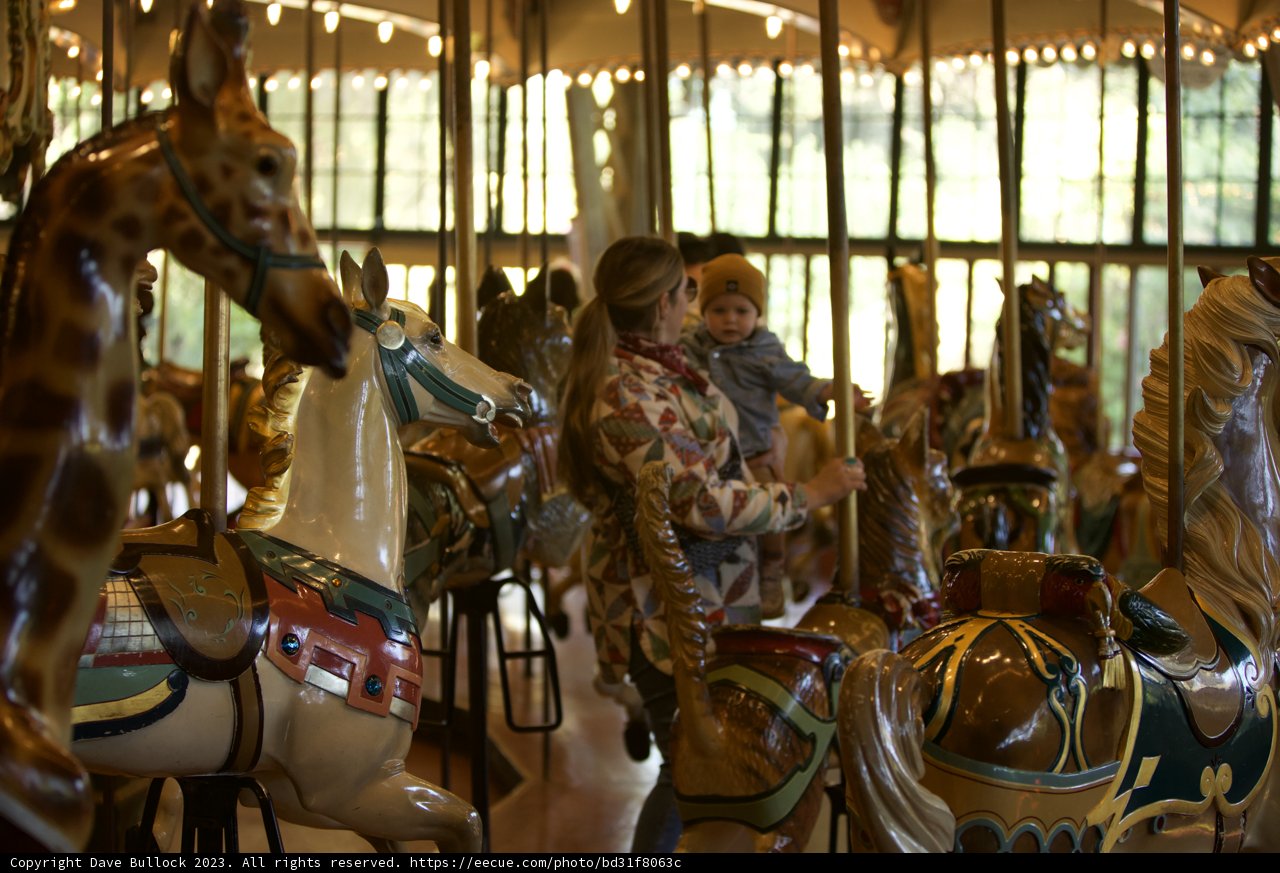 Joyous Carousel Adventure at SF Zoo