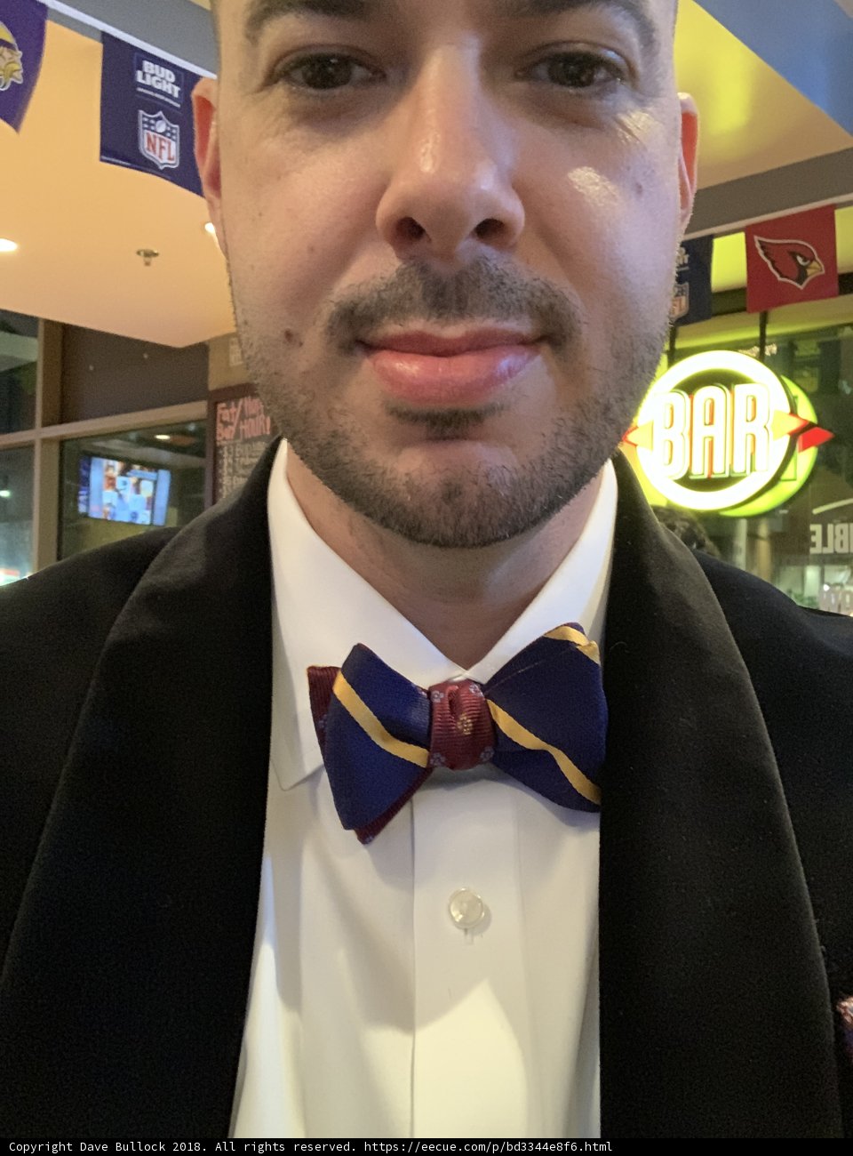 Dapper Dave in Bow Tie