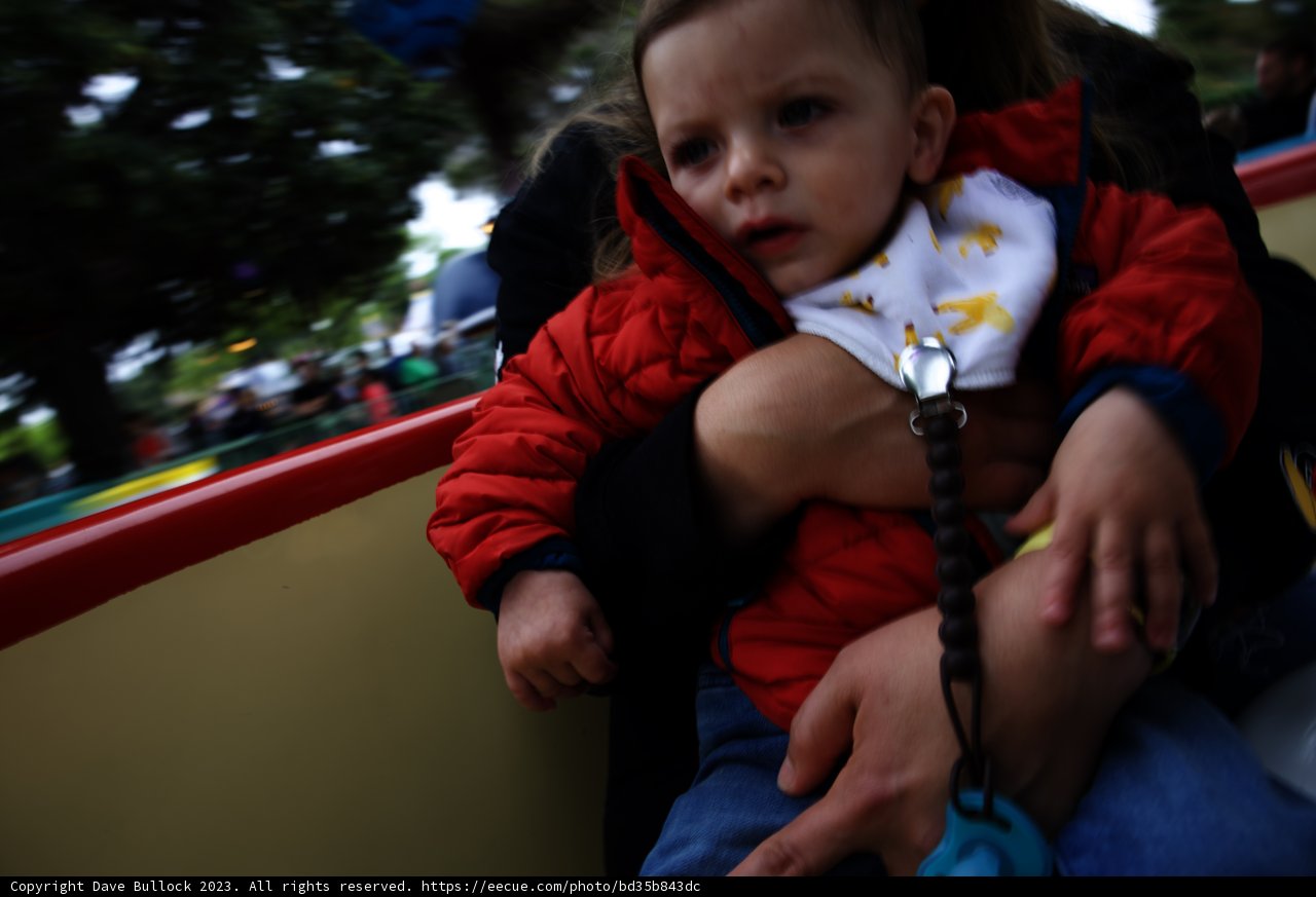 Magical Moments at Disneyland