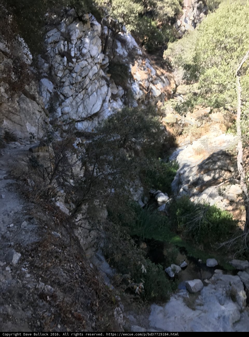 Trekking the Mighty Slopes of the Angeles National Forest