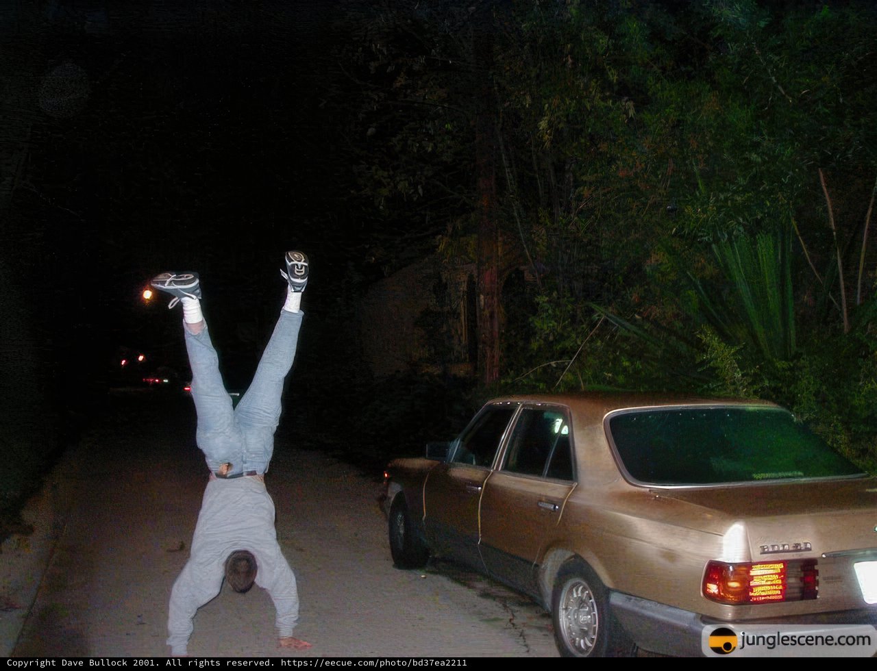 The Upside Down Roadside Yoga
