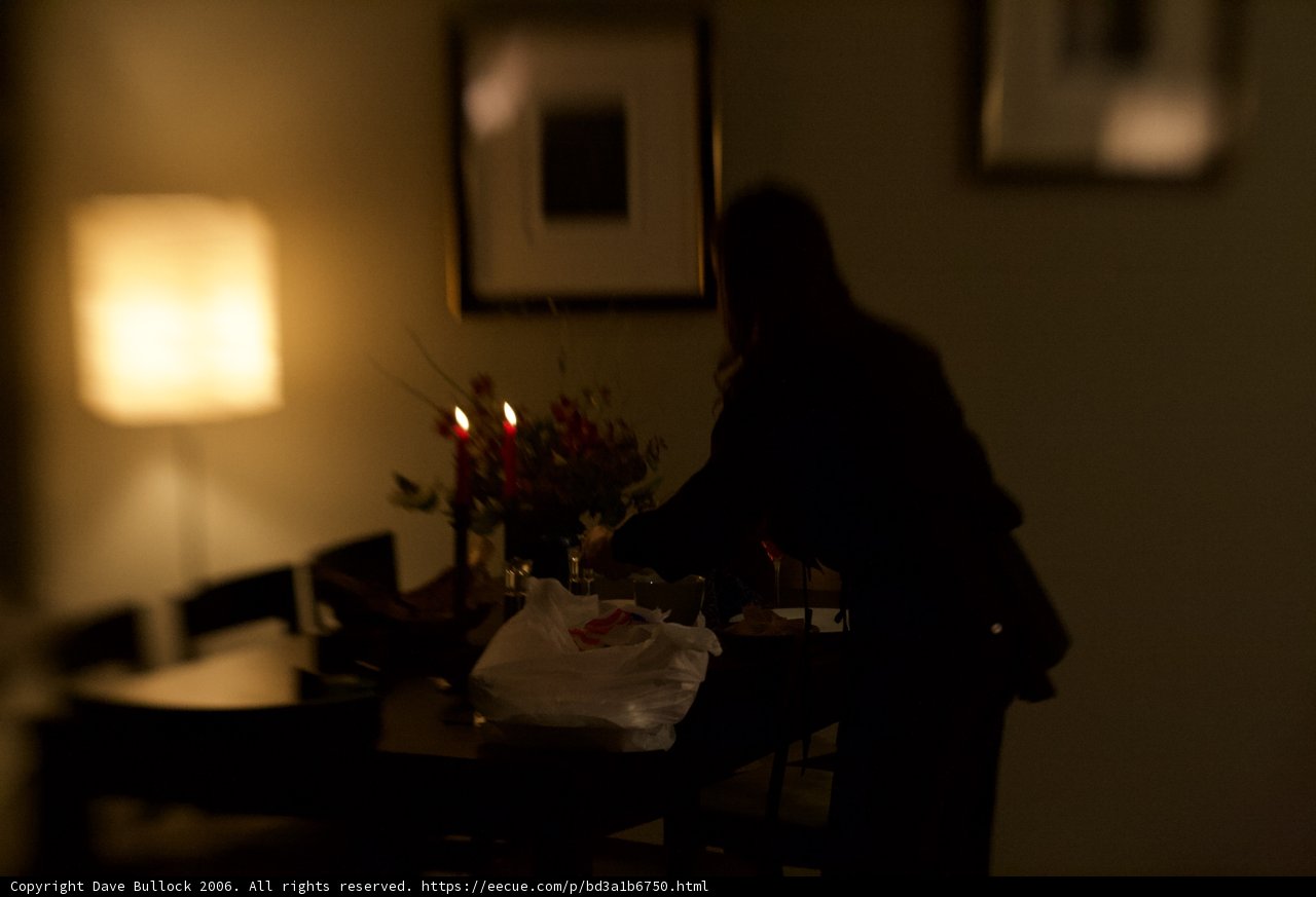 Setting a Flower Arrangement on the Dining Table
