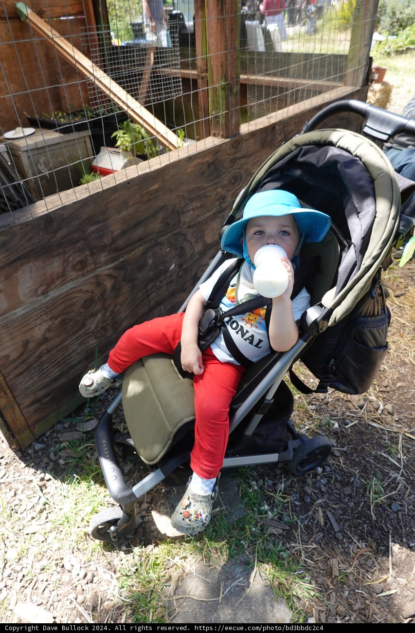 Sunny Stroll Adventures