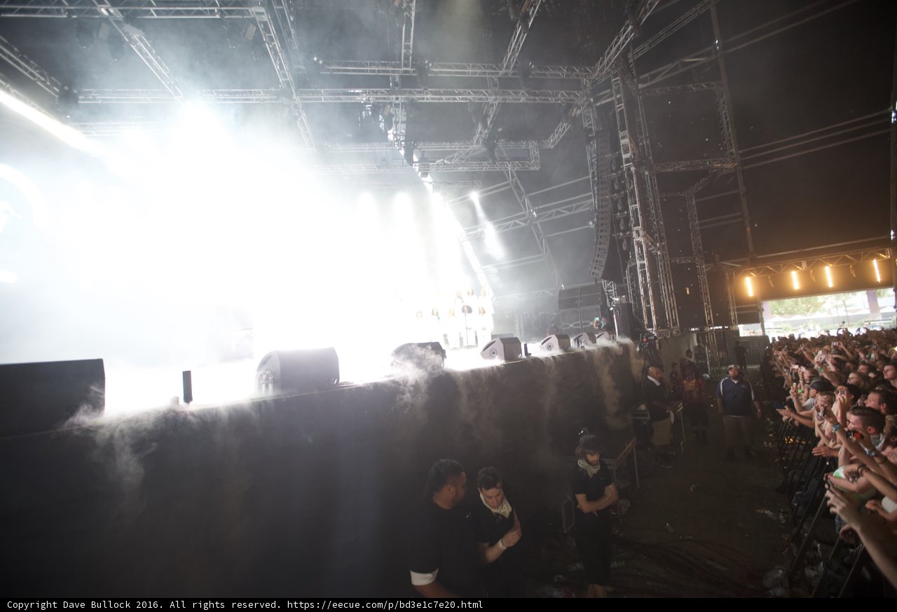 Rockin' with the Crowd