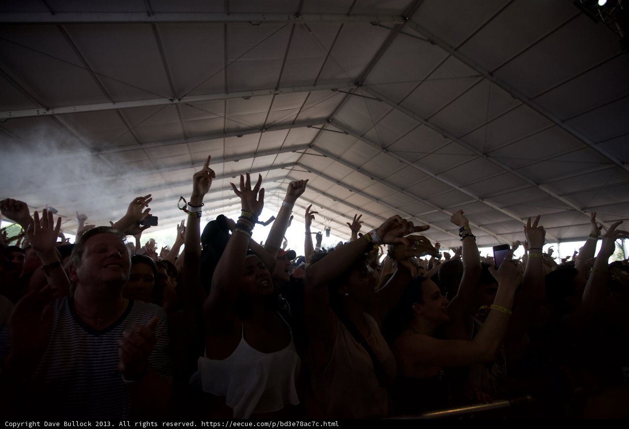 The Electric Crowd