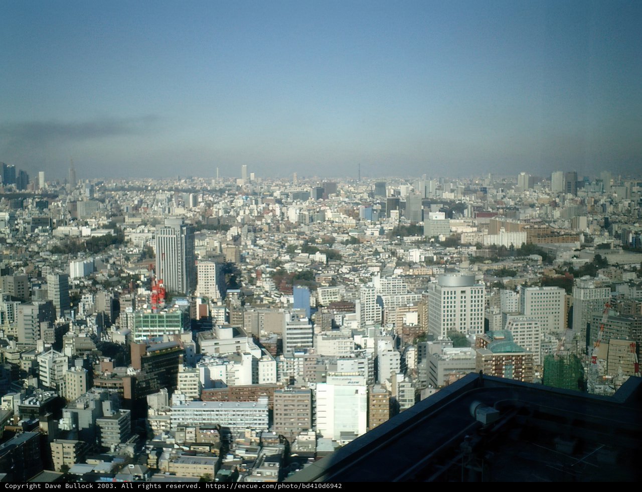Overlooking Tokyo's Metropolis