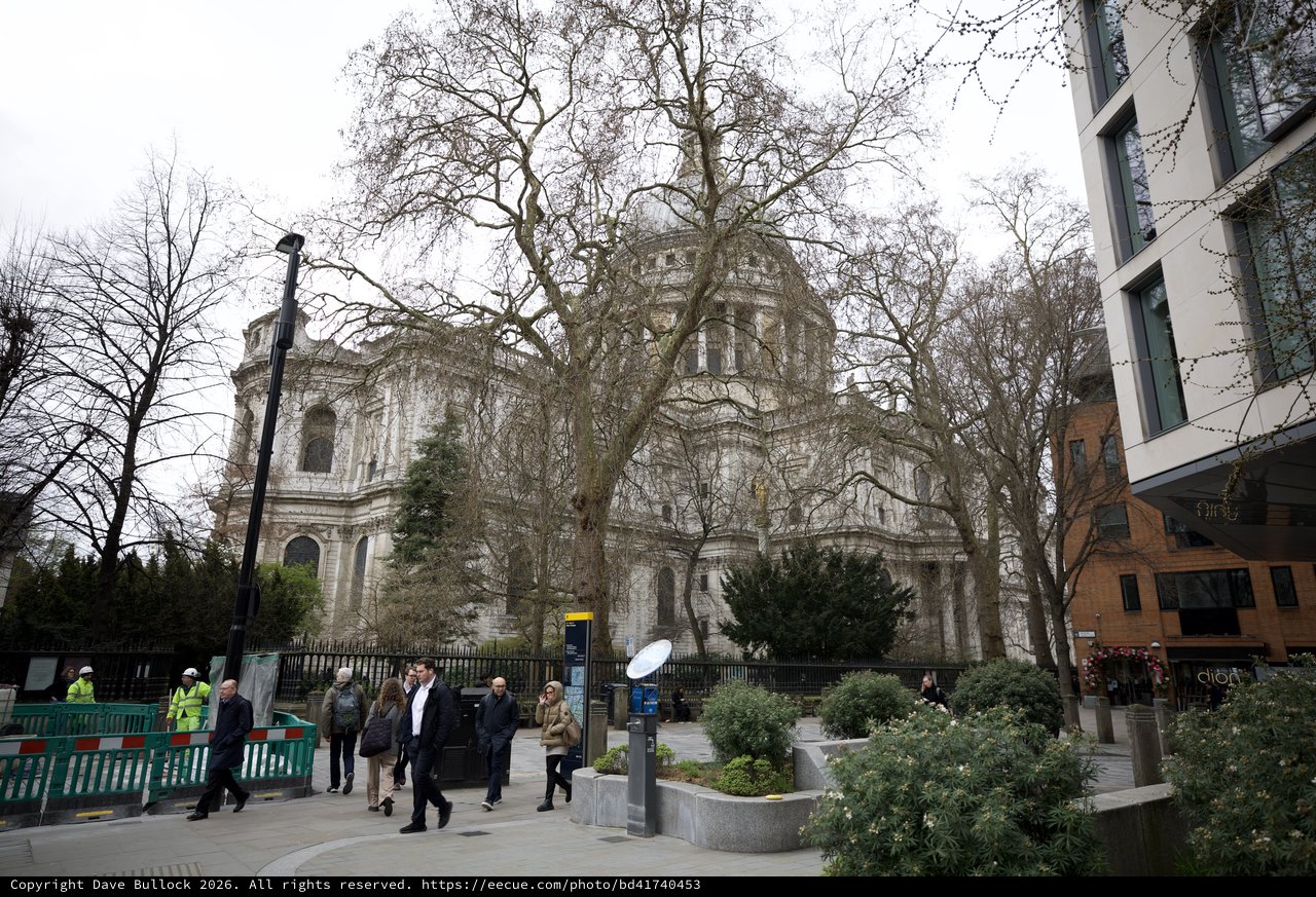 St Paul's Cathedral Through Bare Winter Trees