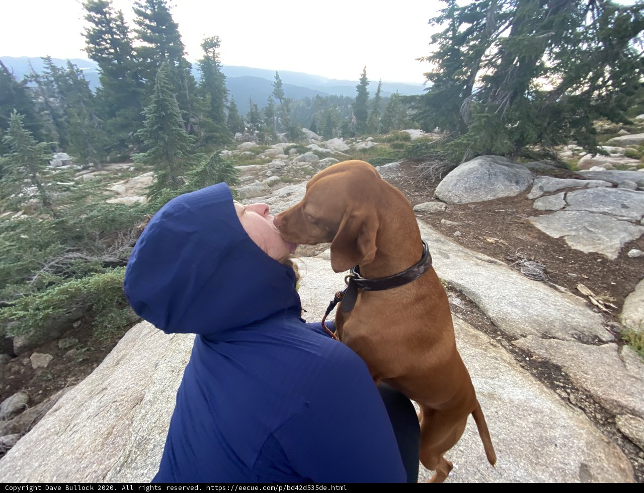 A Woman's Love for Her Vizsla