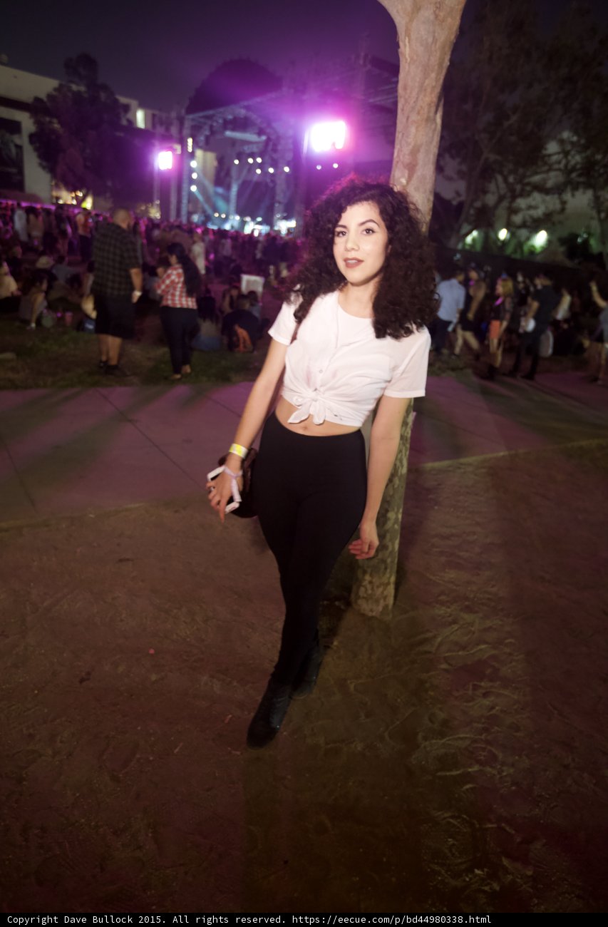 Festival Portrait Against Tree