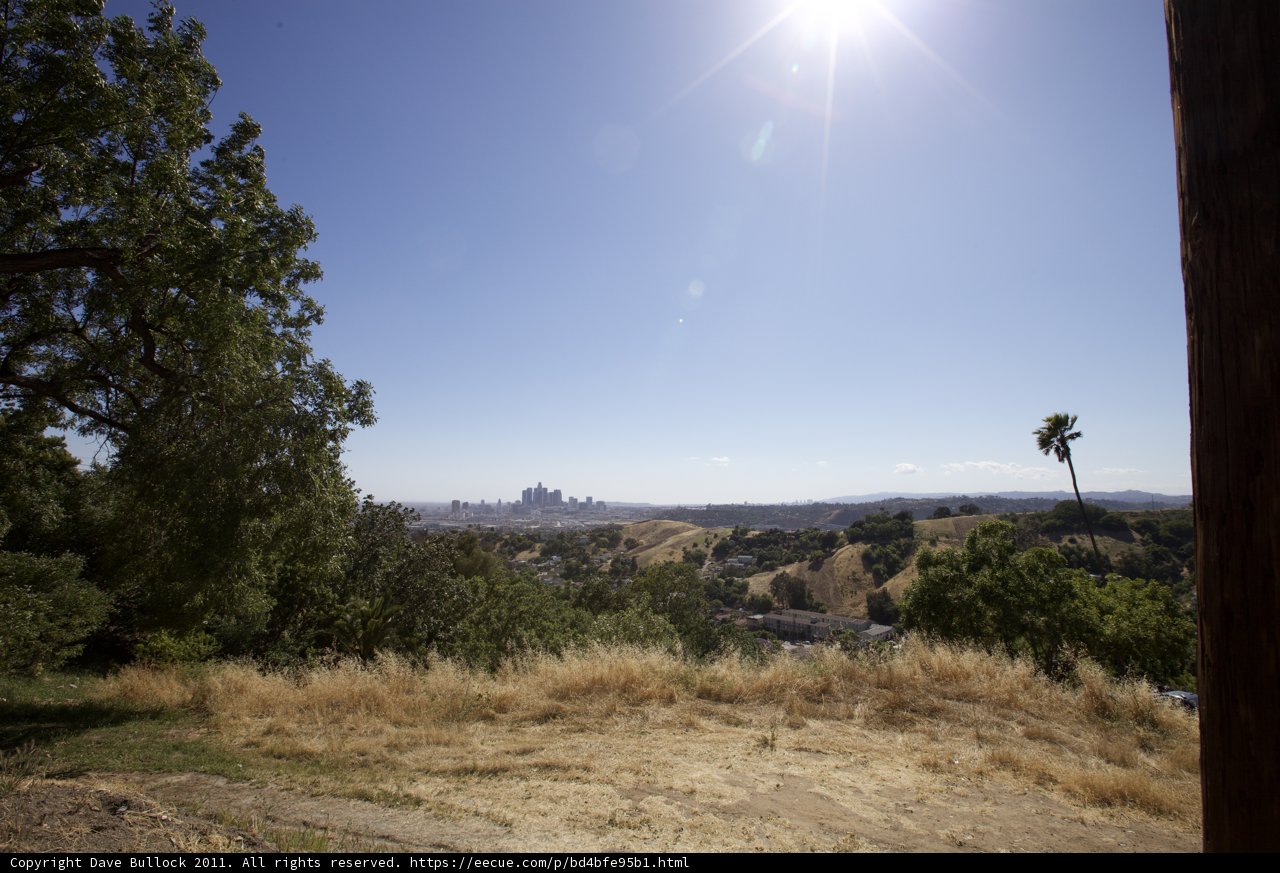 Hilltop Sunflare