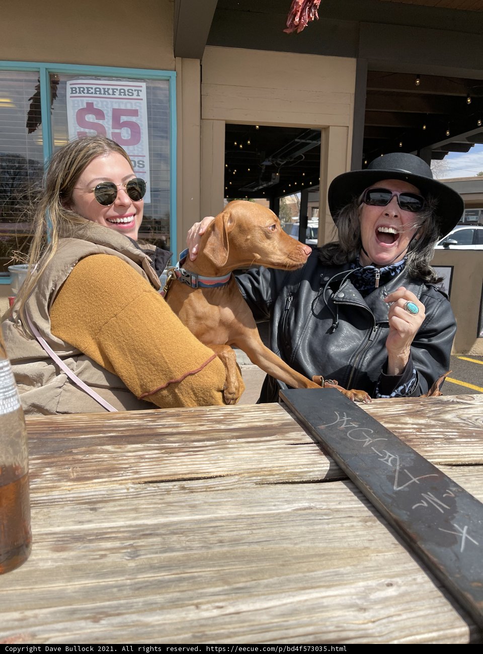 Two Women and Their Furry Companion Enjoy Waterfront Dining