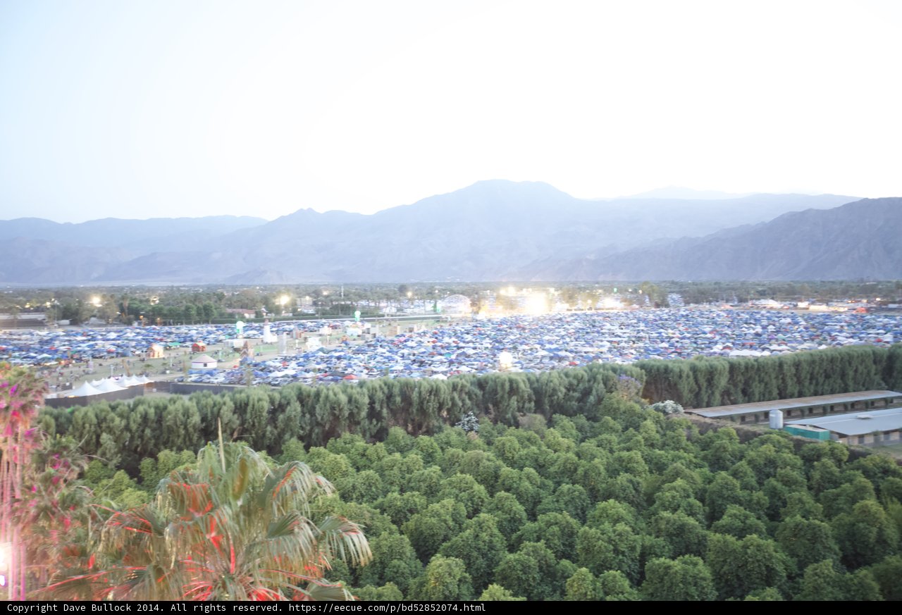 The Sea of Trees