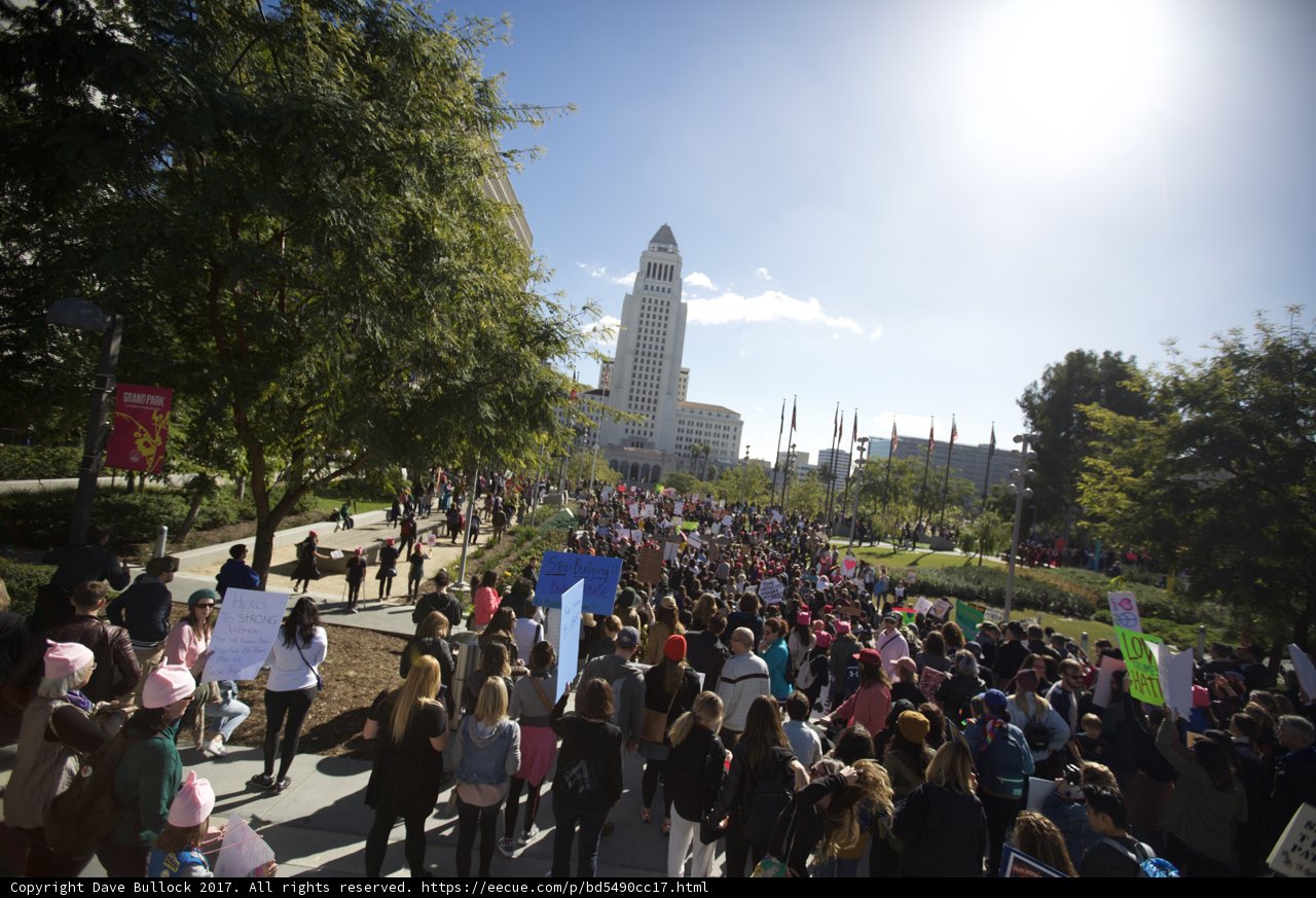 Women's March Takes to the Streets Caption: A sea of people flood the city as the Women's March makes their voices heard.