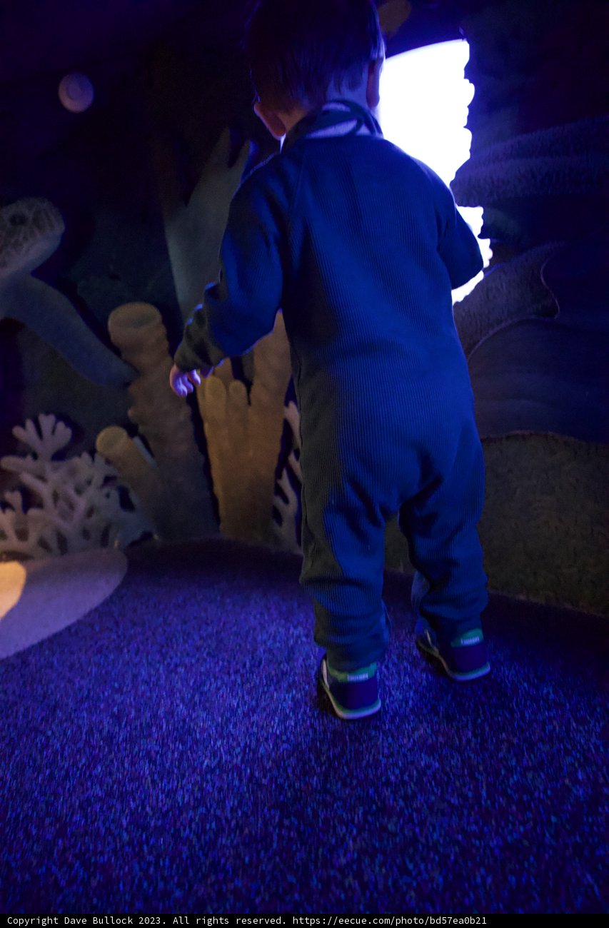 Childhood Wonder: A Glimpse into the Abyss
