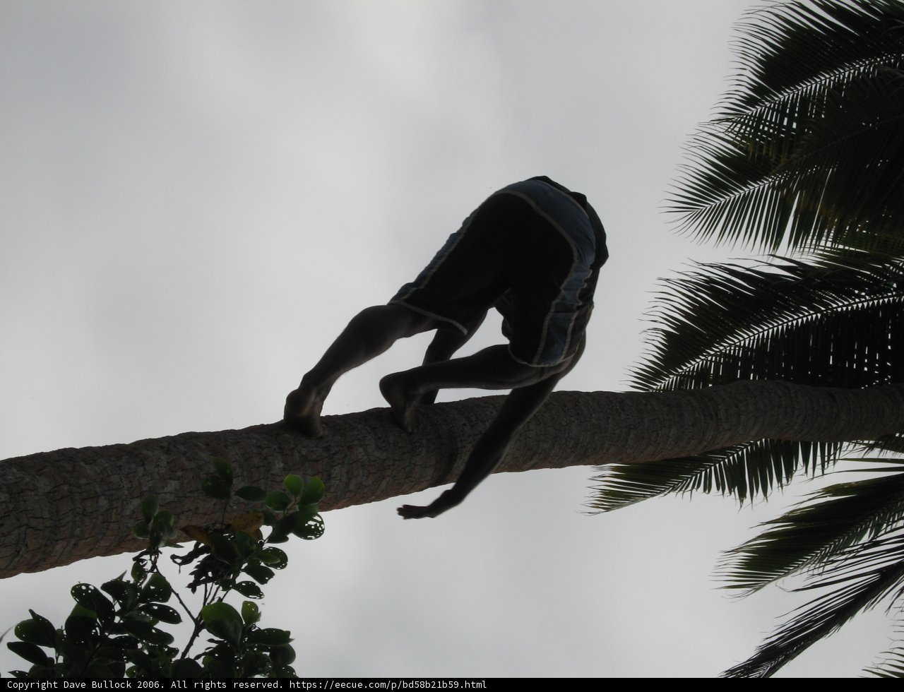 Scaling new heights