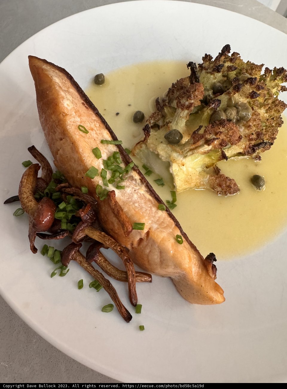 Salmon Culinary Delight
