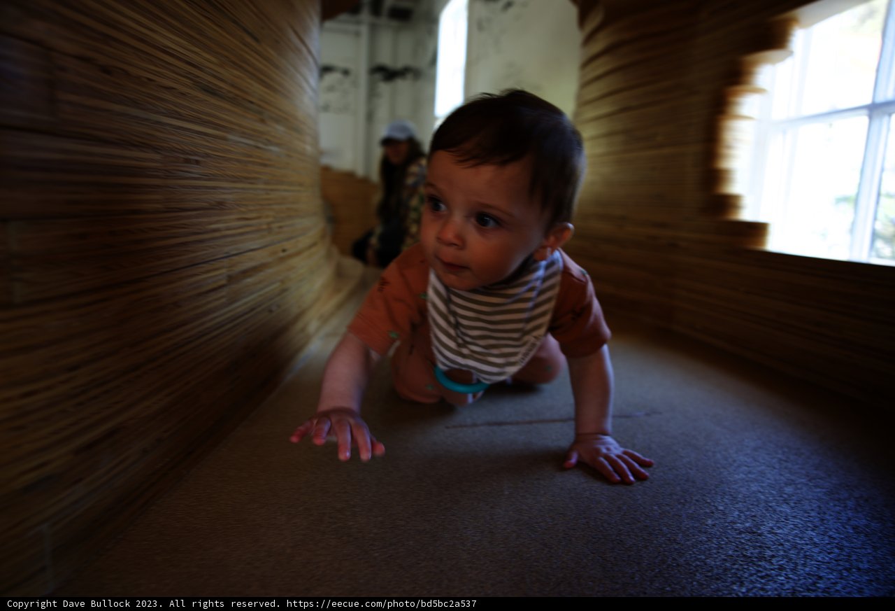 Wesley's Crawling Adventure at the Museum