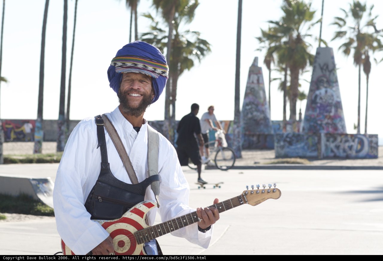 Guitar and Palm Trees
