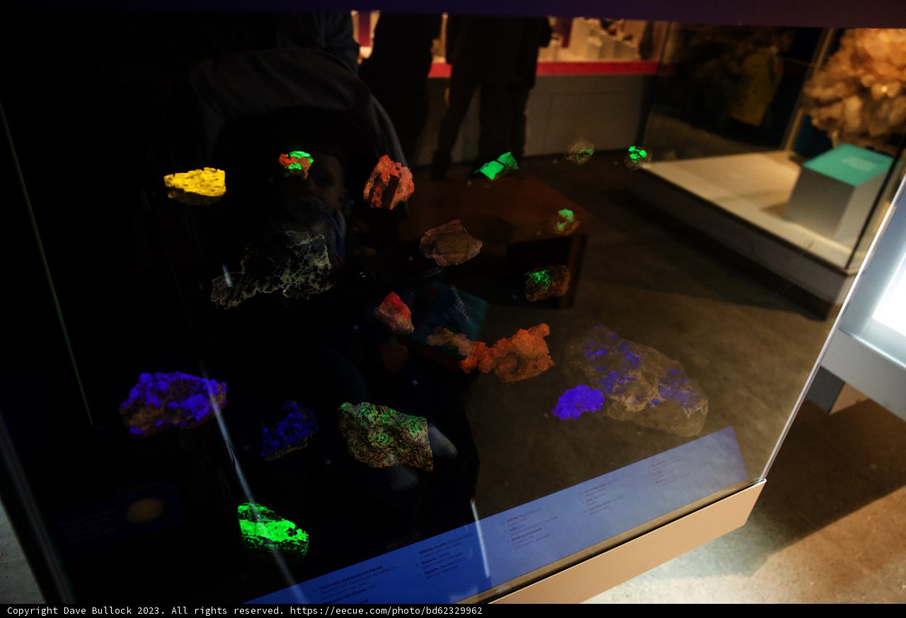 A Curious Collection at the California Academy of Sciences