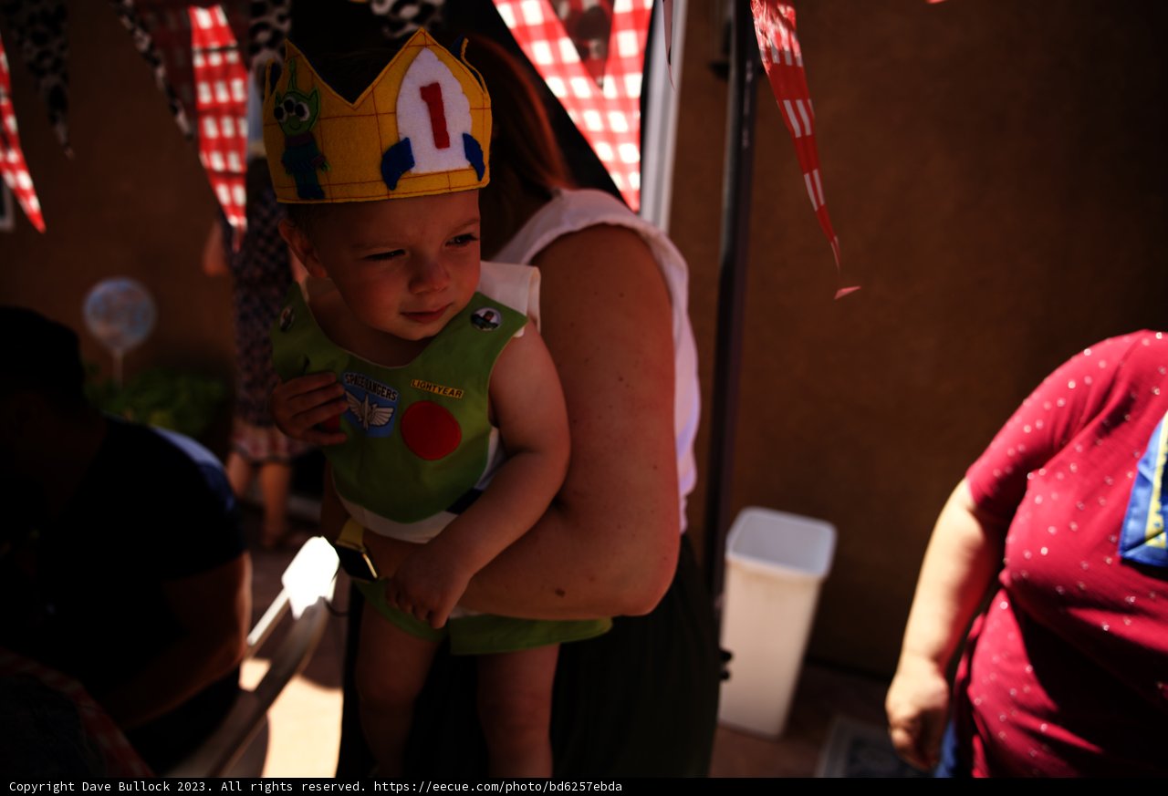 A Royal Celebration: Wesley's First Birthday Party, 2023