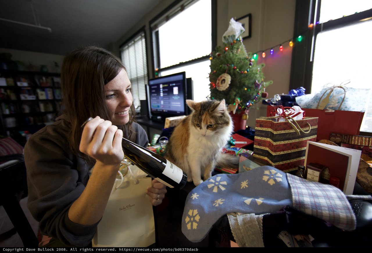 Holiday Cheer: Woman and Cat Celebrate Christmas Morning