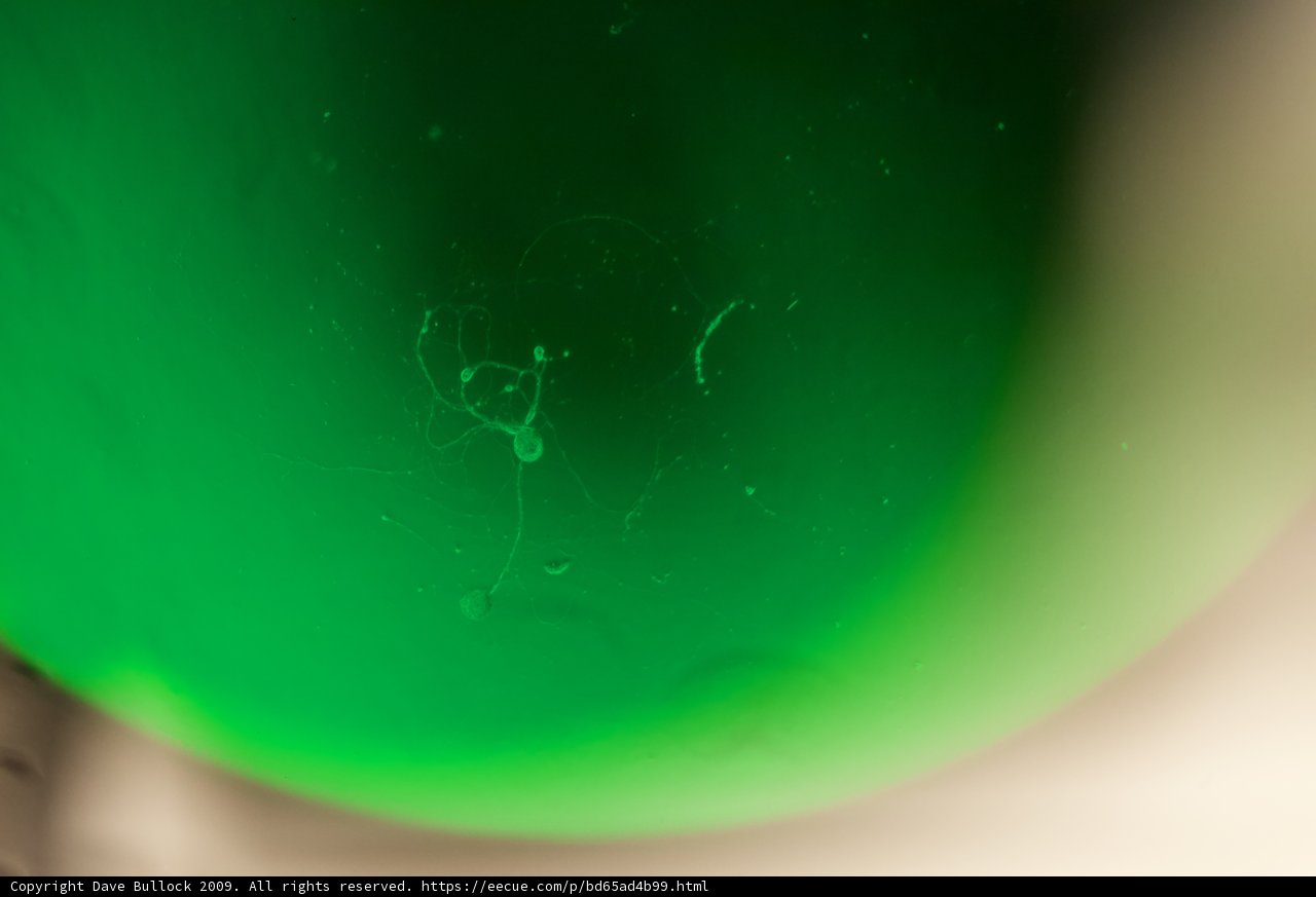Green Light Sphere
