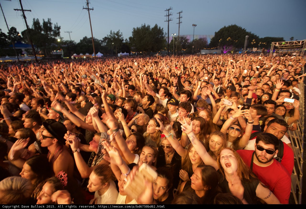 Sea of Fans Epic Wide Shot