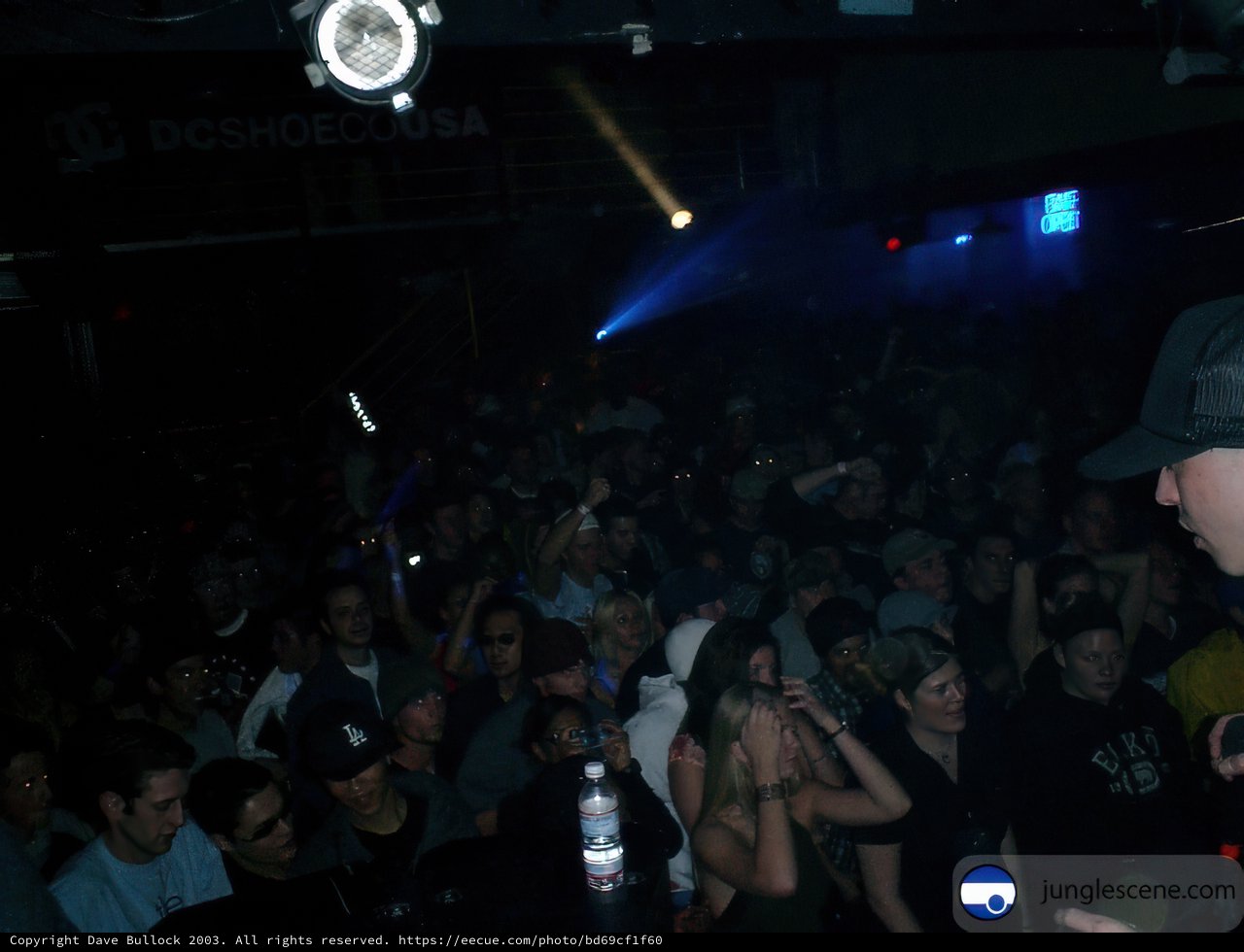 Spotlight on the Nightlife