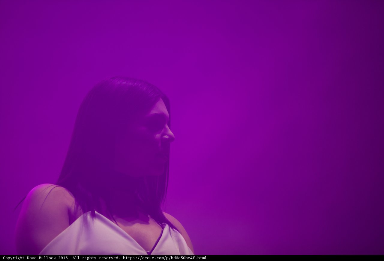 Purple Dreams
