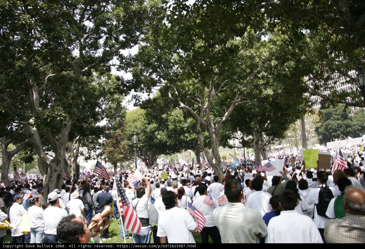A Sea of White