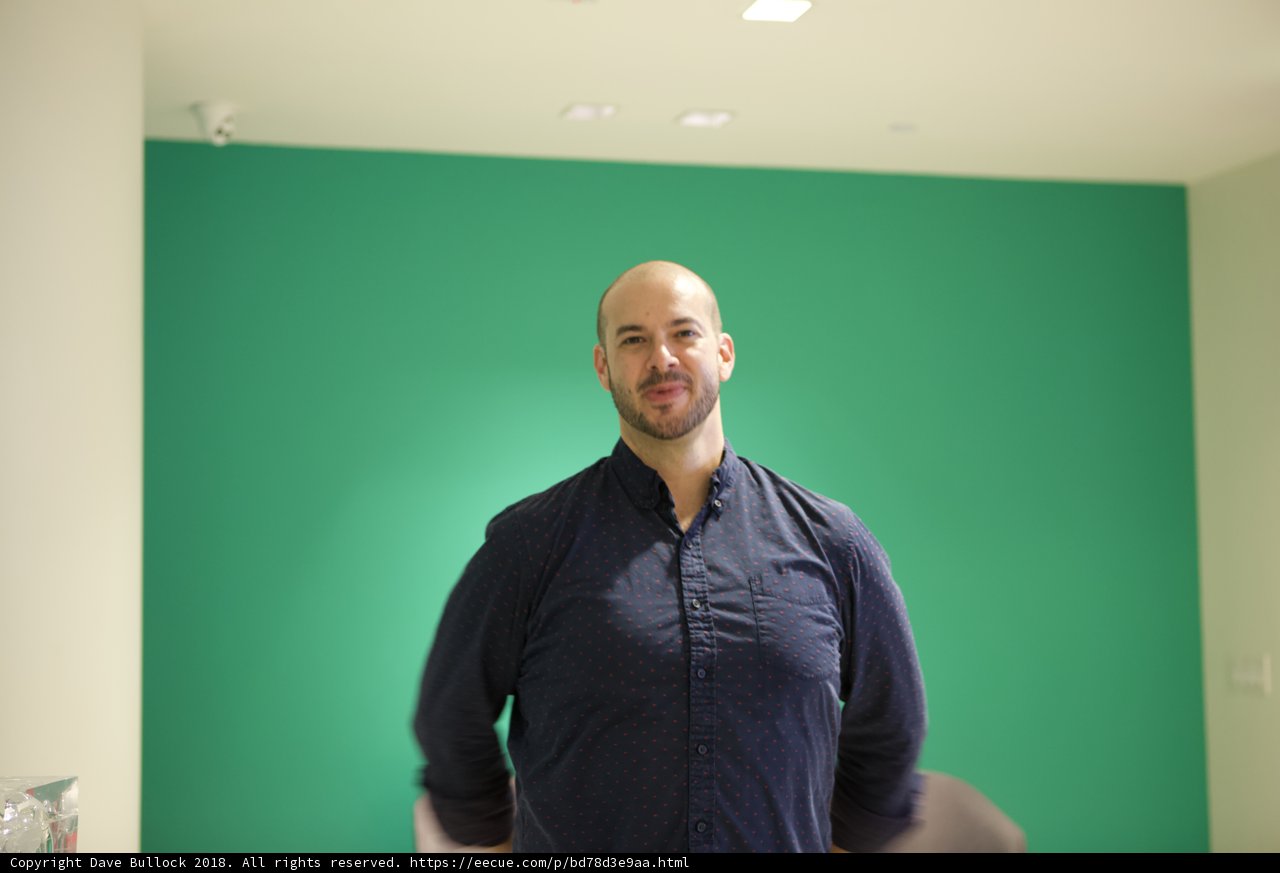 The Green Wall Portrait
