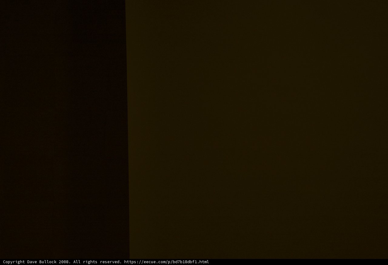 Standing Tall Against the Textured Wall