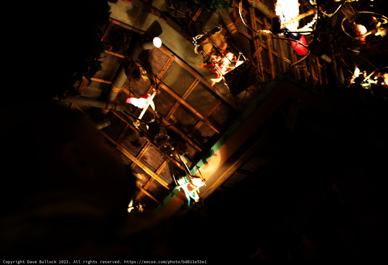 Soaring High at Disneyland