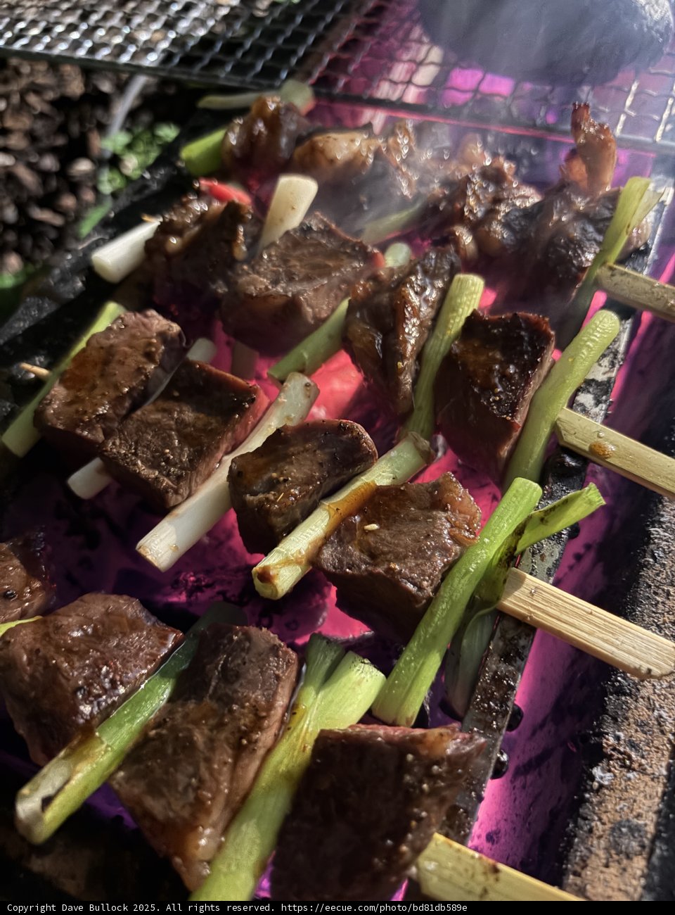 Sizzling Barbecue Bliss