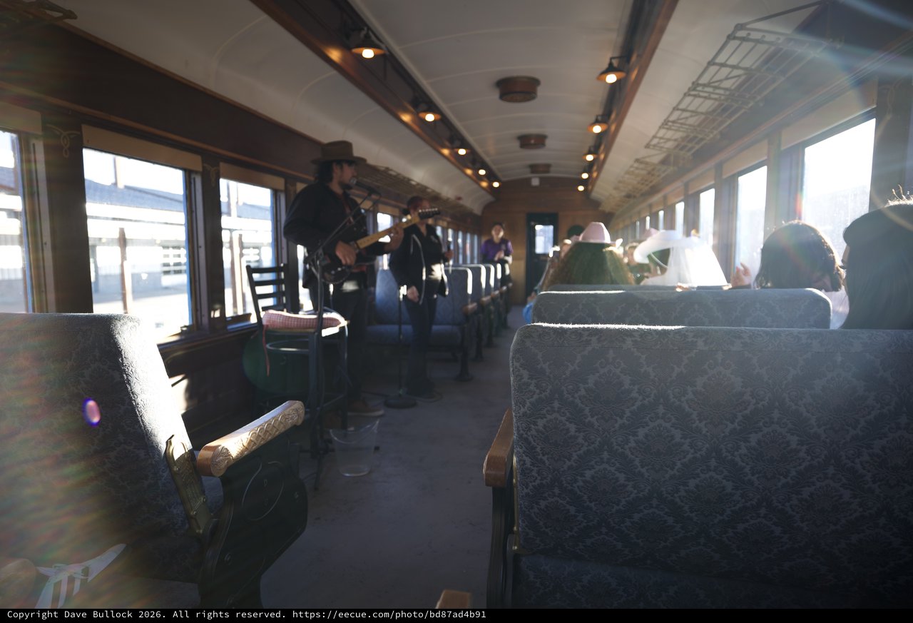 Musicians Performing on Vintage Train Journey
