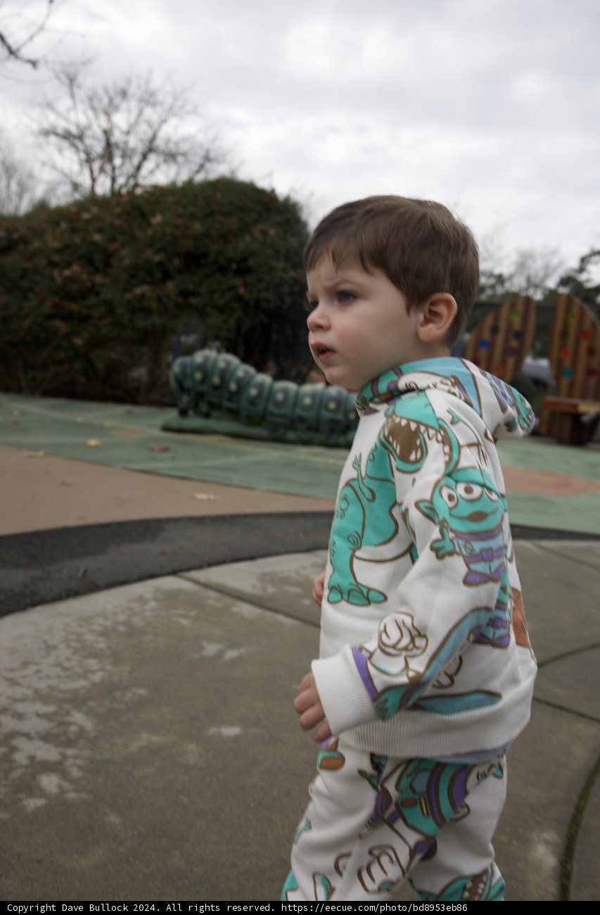 Exploring the World with Wonder