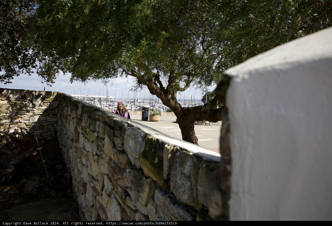 Monterey Stroll: An Intimate Exploration