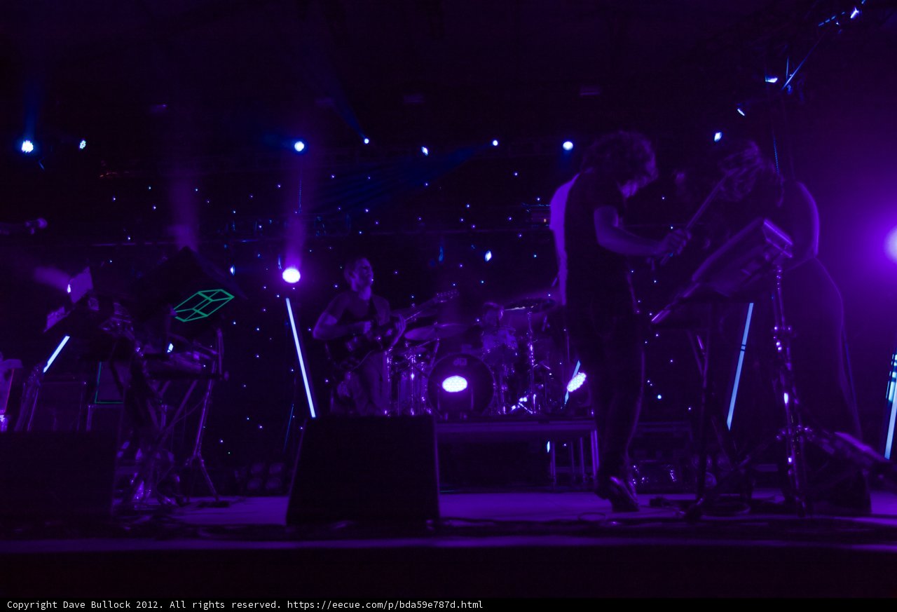 Rocking Out Under the Purple Lights